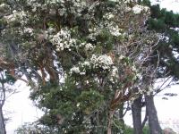 Albums/20060200-New Zealand 2006/20060212-south/23